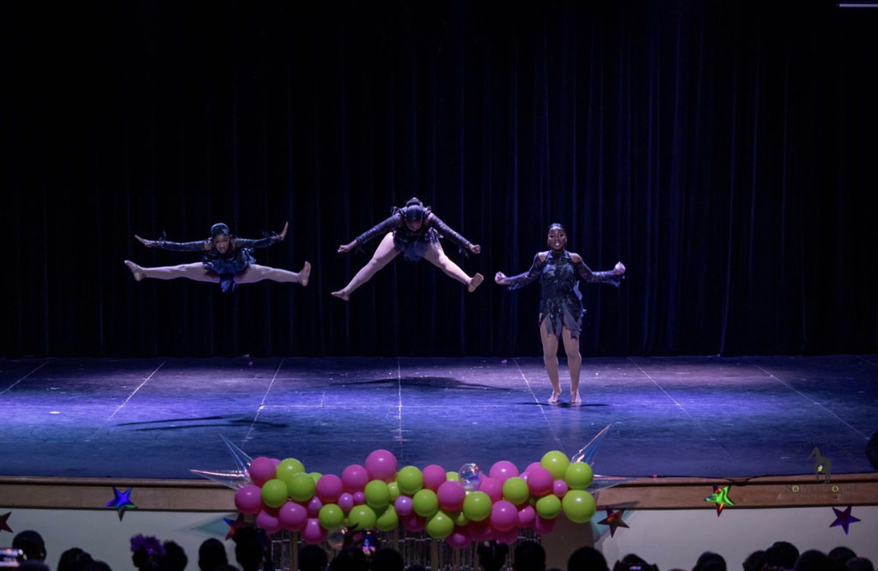Dance Tights / Stockings